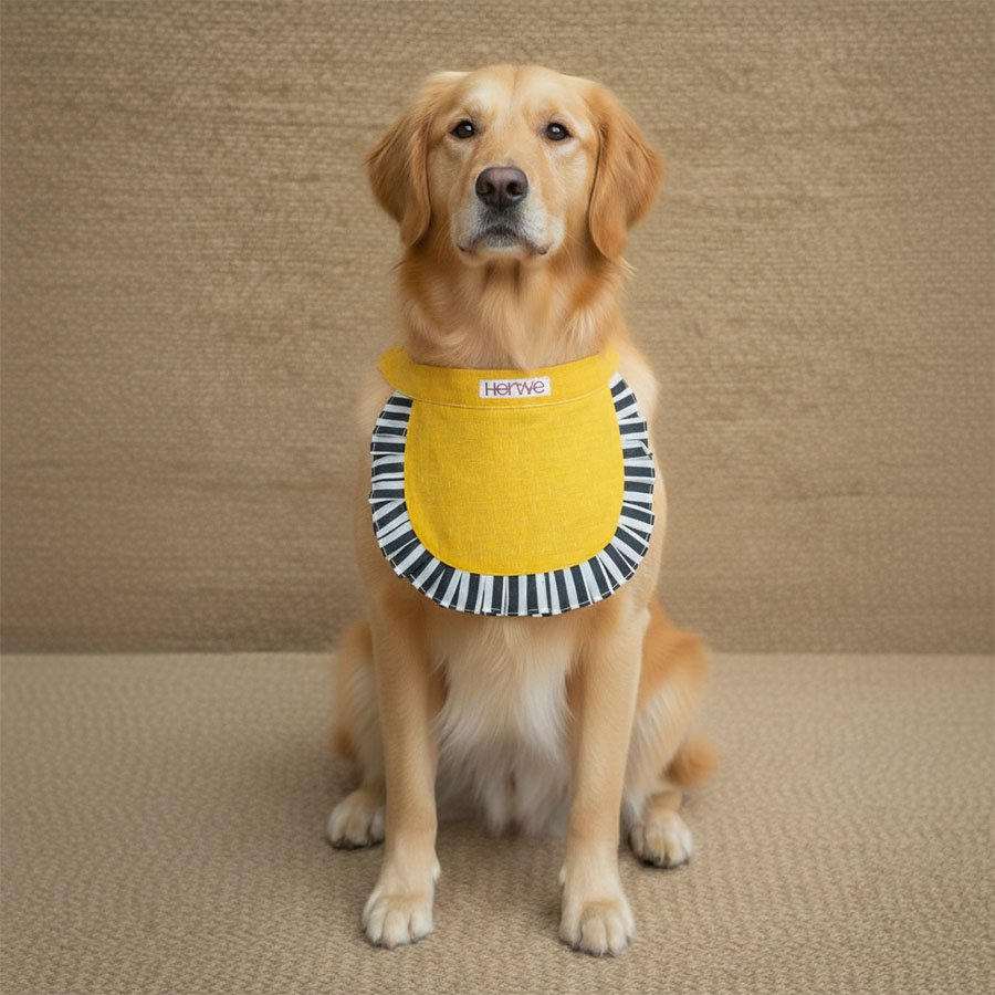 Sunflower Frill Bib