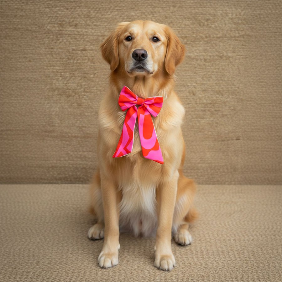 Blush Bow