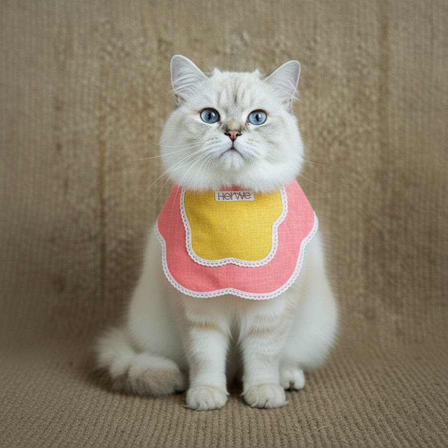 Blush Sun Bib